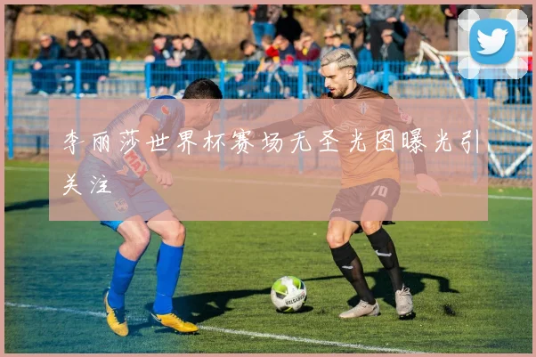 李丽莎世界杯赛场无圣光图曝光引关注